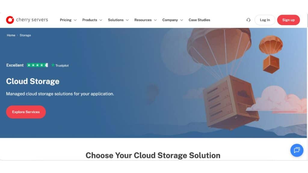 Cherry Servers storage server